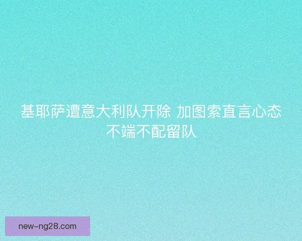 基耶萨遭意大利队开除 加图索直言心态不端不配留队