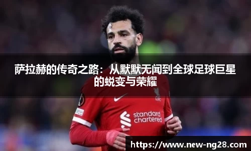 ng南宫28官网