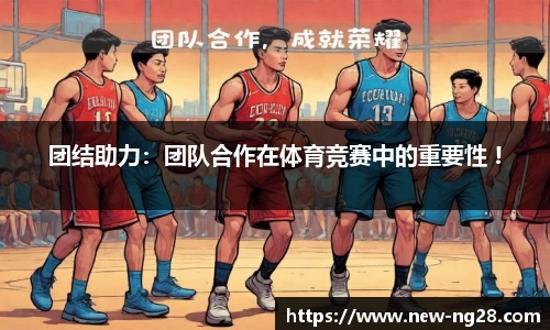 ng南宫28官网